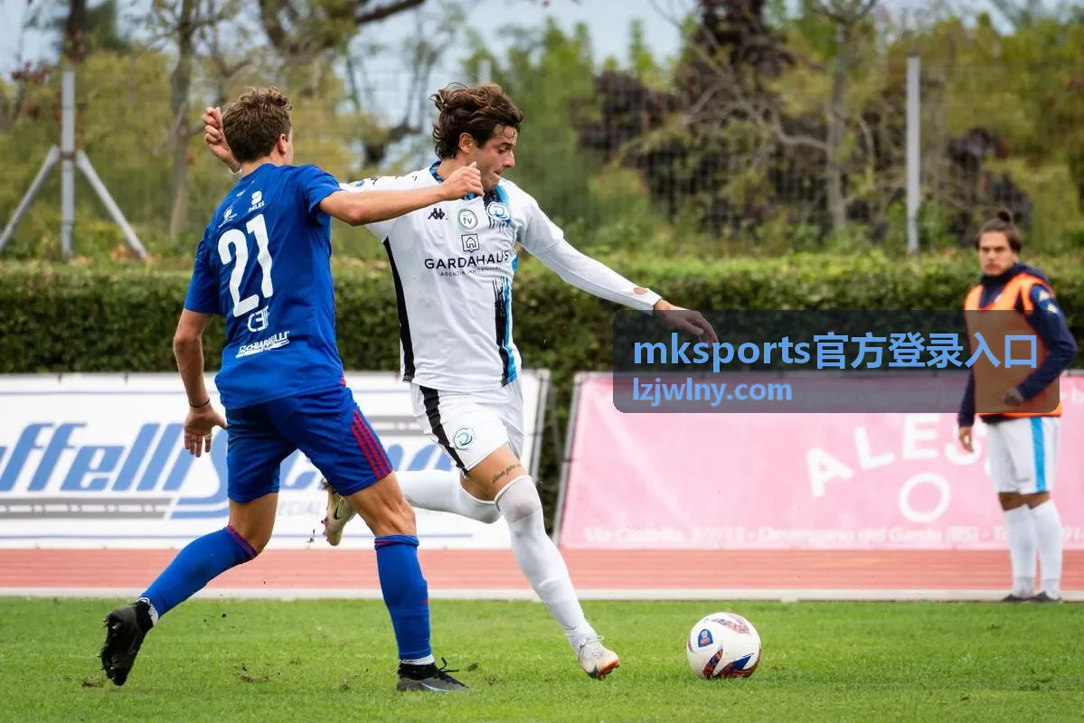 mksports官方登录入口 安全验证答疑封面图
