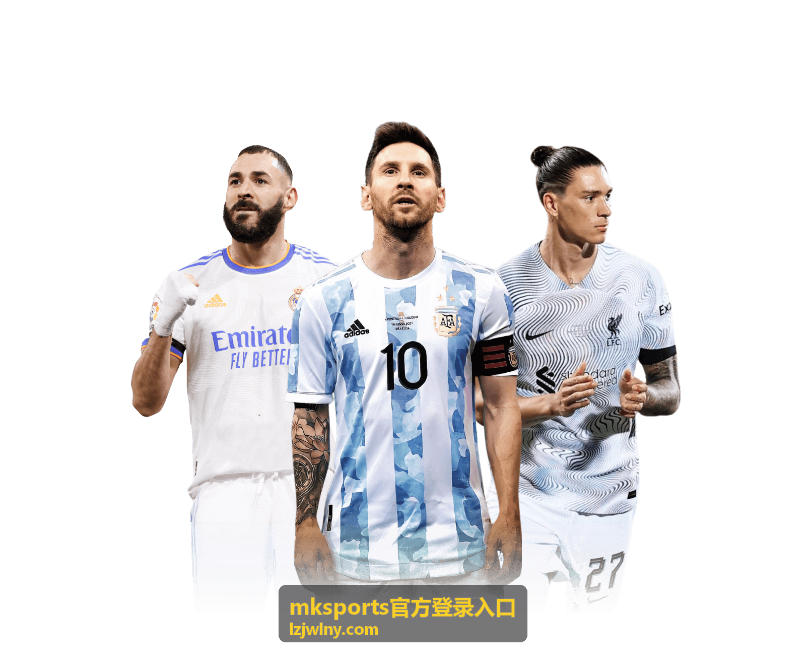 mksports官方登录入口 账号信息确认配图